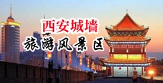 白丝美女扒开鸡尿口自慰中国陕西-西安城墙旅游风景区